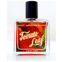 Tomato Leaf-گریت امریکن سنتس تومیتو لیف