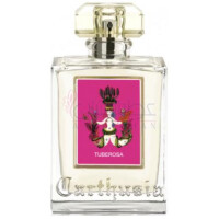 Tuberosa-کارتوزیا توبرزا