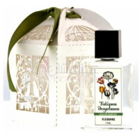 Tulipes Joyeuses-فلوریج تولیپس جویسیس