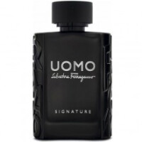 Uomo casual hotsell life salvatore ferragamo