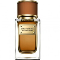 Velvet Exotic Leather-دولچه گابانا ولوت اکسوتیک لیدر