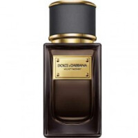 Velvet Incenso-دولچه گابانا ولوت اینسنسو