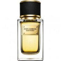Velvet Patchouli-دولچه گابانا ولوت پچولی