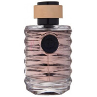 Vortex-رینگ وورتکس