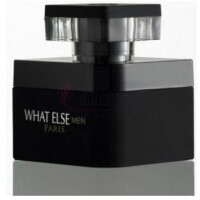 What Else Men-ای پی دوراند پارفومز وات الس من