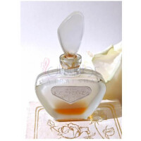 White Roses – Белые розы-رد کارنیشن وایت رزز