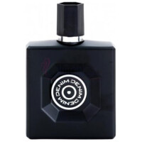 Wild-دنیم وایلد