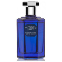 Wild Lavender-لورنزو ویلورسی وایلد لوندر