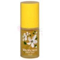 Wildflower-آلیسا اشلی وایلد فلاور