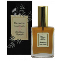 Winter Woods-سونوما سنت استودیو وینتر وودز