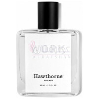 Work-هاثورن وورک