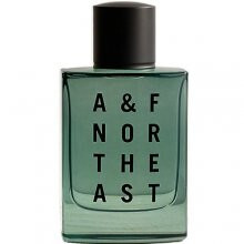 A & F Northeast-آبرکرامبی اند فیچ ای اند اف نورس ایست