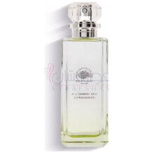 A l'Ombre des Citronniers-اد پینو ا لومبر دس سیترونیرز