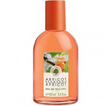 Abricot Bergeron-ایوشه روشه ابریکوت برگران