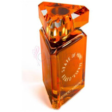 Aesthetic Turbulence-استیت اف مایند استیتک توربولنس