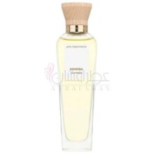 Agua Fresca de Mimosa Coriandro-آدولفو دومینگز اگوا فرسکا دی میموسا کوریاندرو