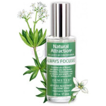 Always Focused-دیمتر فرگرنس الویز فوکسد