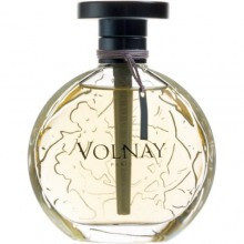 Ambre de Siam-ولنی آمبر د سیام