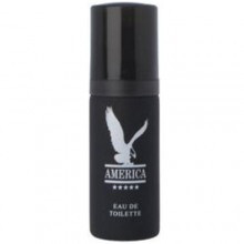 America-میلتون لوید آمریکا