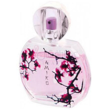 Amiko-الن بری امیکو