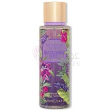 Blackberry Bite-ویکتوریا سیکرت بلک بری بایت