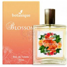 Blossom-بوتانیک بلوسوم