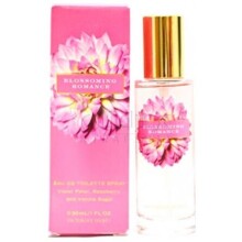 Blossoming Romance-ویکتوریا سیکرت بلوسومینگ رومنس