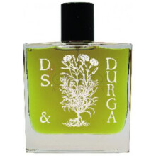 Boston Ivy- دی اس اند دورگا باستون ایوی