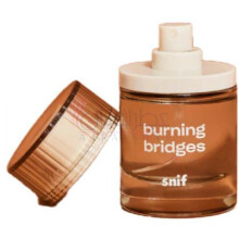 Burning Bridges-اسنیف برنینگ بریجس