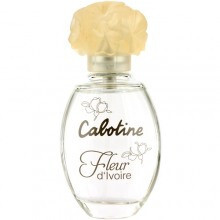Cabotine Fleur d’Ivoire-گرس کابوتین فلور د ایوار