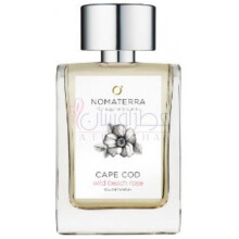 Cape Cod Wild Beach Rose-نوماتيرا کیپ کد وایلد بیچ رز