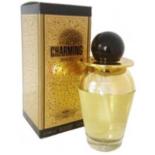 Charming Angel-کریستین داروین چرمینگ انجل