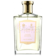 Cherry Blossom-فلوریس چری بلوسوم