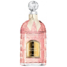 Cherry Blossom-گرلن چری بلوسوم