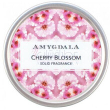 Cherry Blossom-امیگدالا چری بلوسوم