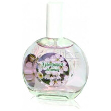 Cherry Blossom-پکراوکا تریدینگ هاوس چری بلوسوم