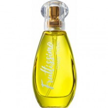 Crazy Tropic-بروکارد کریزی تروپیک