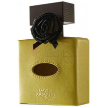 Cuir Solaire-دیوید جورکین کویر سولیر