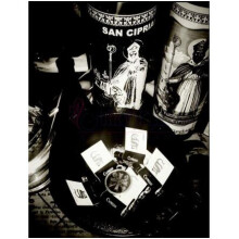 Cyprian-هاوس اف اورفیوس سیپرین