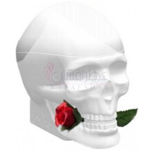 Ed Hardy Skulls & Roses for Her-کریستین اودیگیر اد هاردی اسکولز اند رزز فور هر