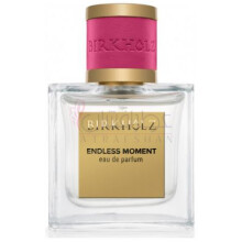 Endless Moment-بیرخولز اندلس مومنت
