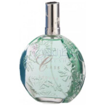 Endure-کلس ایندور