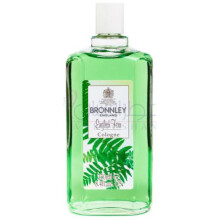 English Fern-برونلی اینگلیش فرن