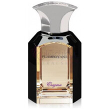 Enigma-فلمبوینت انیگما