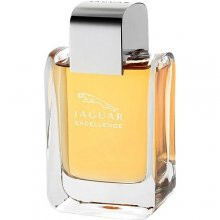 Excellence-جگوار اکسلنس