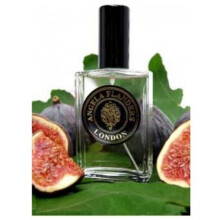 Figue Noire-انجلا فلاندرز فیگ نویر