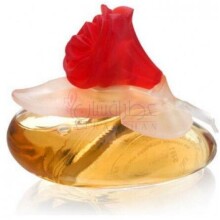 Fiorilu En Fleur-پوپا فیوریلو ان فلور