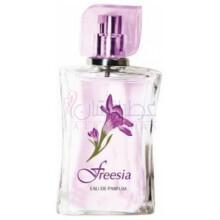 Freesia-نوول ایتویل فریزیا