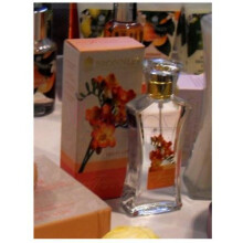 Freesia-برونلی فریزیا