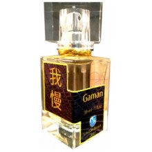 Gaman 我慢-کریستین برینک گامان